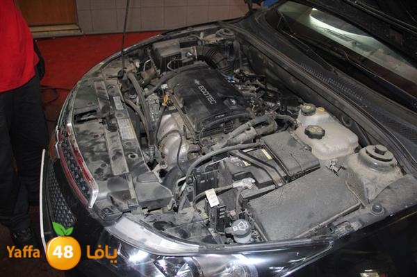 avis lud 0524 (22).JPG